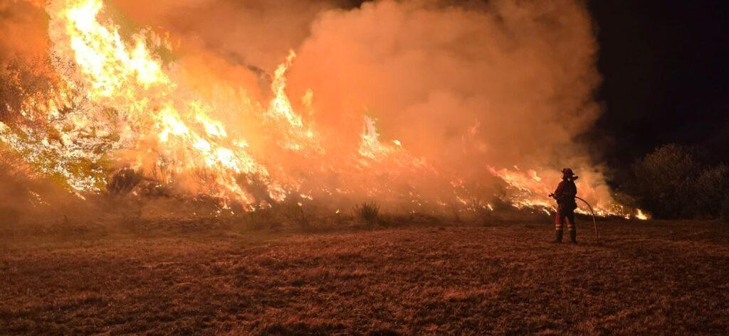 La UME interviene en el incendio forestal de Barniedo de la Reina. Subdelegación del Gobierno.