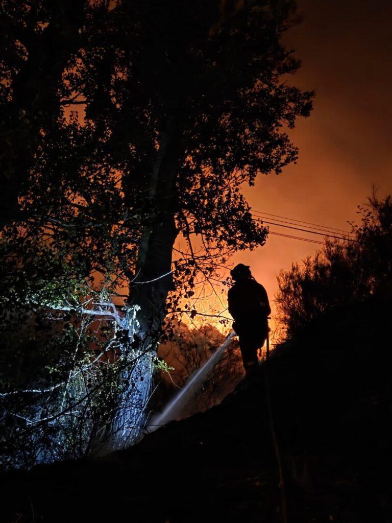 La UME interviene en el incendio forestal de Barniedo de la Reina. Subdelegación del Gobierno.