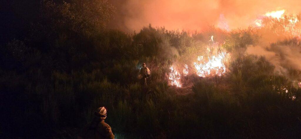 La UME combate las llamas entre una densa vegetación. Subdelegación del Gobierno.
