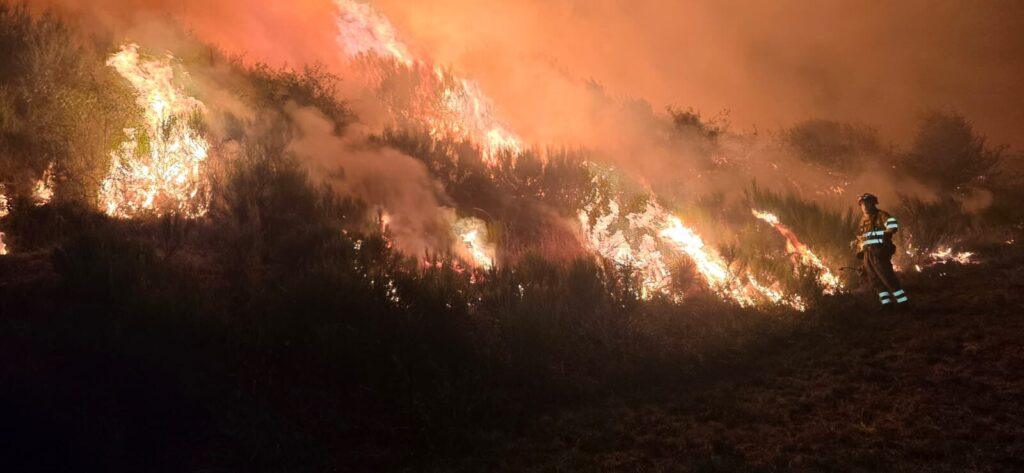 La UME combate las llamas entre una densa vegetación. Subdelegación del Gobierno.