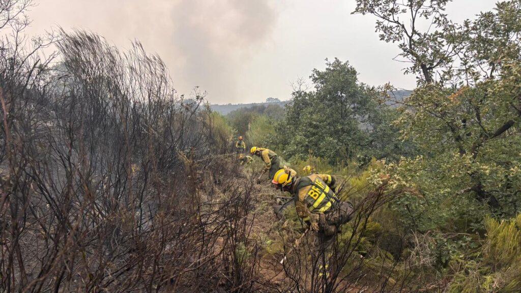La UME interviene en el incendio forestal de Barniedo de la Reina. Subdelegación del Gobierno.