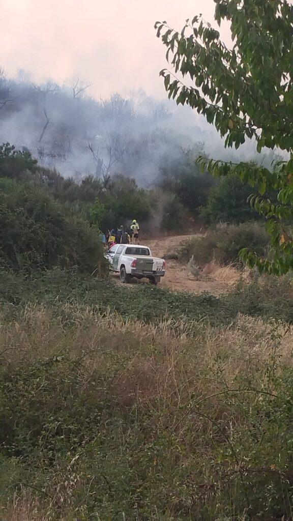 Incendio de Molinaseca. EV.