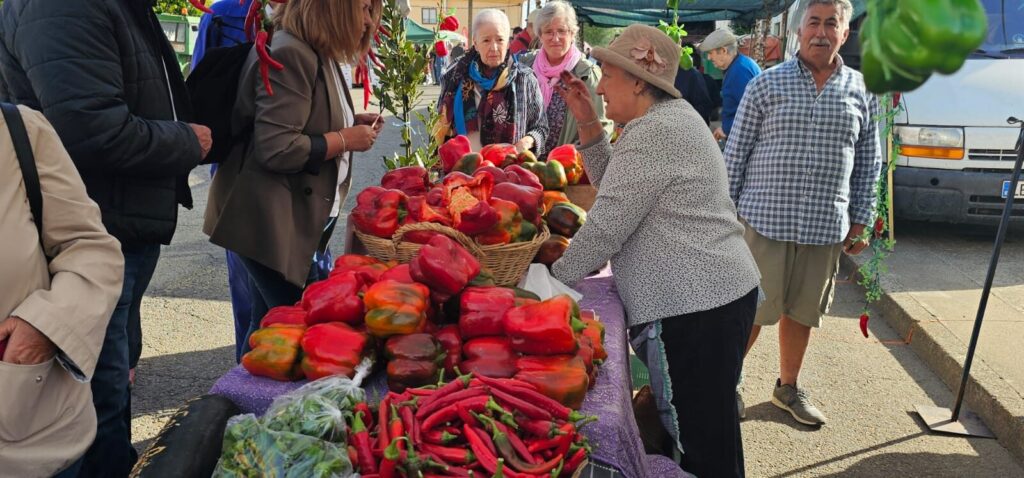 Ambiente en la 40ª Feria del Pimiento Morrón de Fresno de la Vega, donde los pimientos y la gastronomía fueron protagonistas.