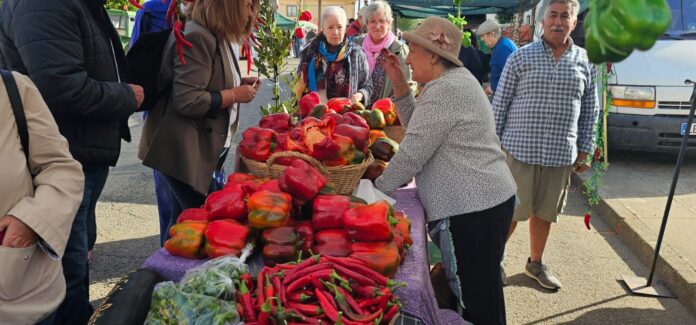 Ambiente en la 40ª Feria del Pimiento Morrón de Fresno de la Vega, donde los pimientos y la gastronomía fueron protagonistas.
